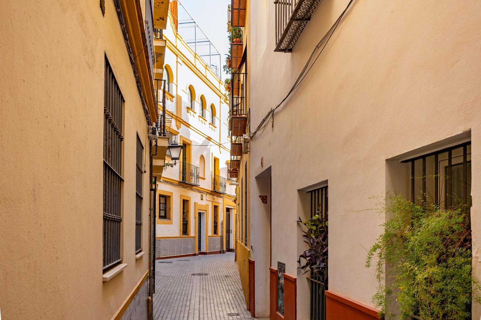 Apartament Santa Catalina Centra By Valcambre Sevilla